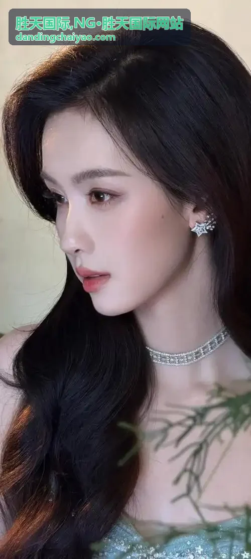 NG·胜天国际服务流程说明配图